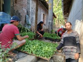 Pendistribusian Program Ketahanan Pangan dalam Rangka Mendukung Gerbang Pagi